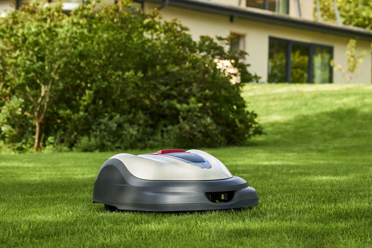 tondeuse-robot-la-solution-pour-obtenir-une-belle-pelouse